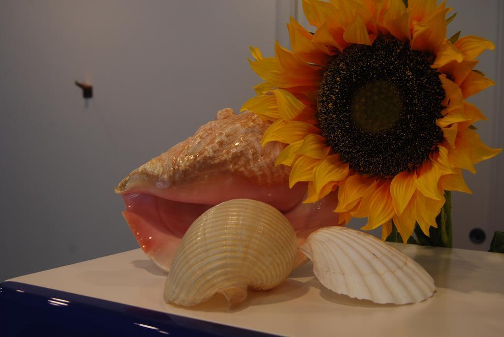 Residence Abruzzo Resort Tortoreto Zewnętrze zdjęcie